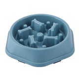 Non-Slip Slow Feeder Bowl for Dogs & Cats